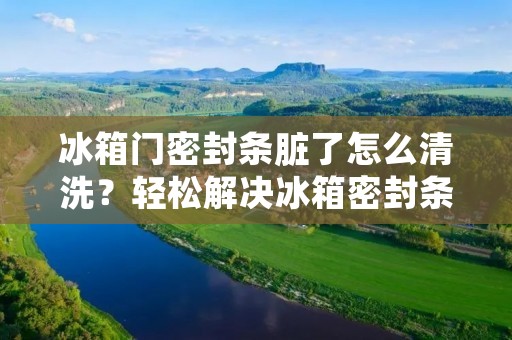 冰箱门密封条脏了怎么清洗？轻松解决冰箱密封条清洗难题！