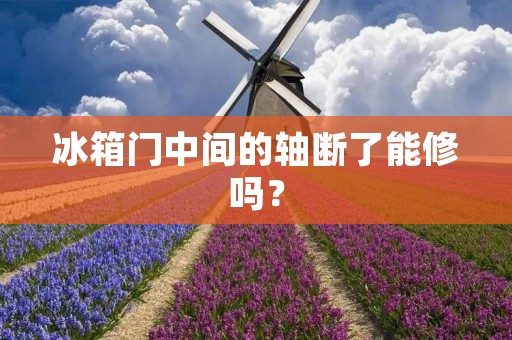 冰箱门中间的轴断了能修吗? 冰箱门中间的轴断了能修吗?