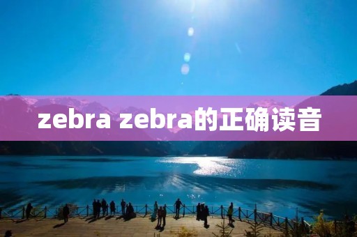 zebra zebra的正确读音