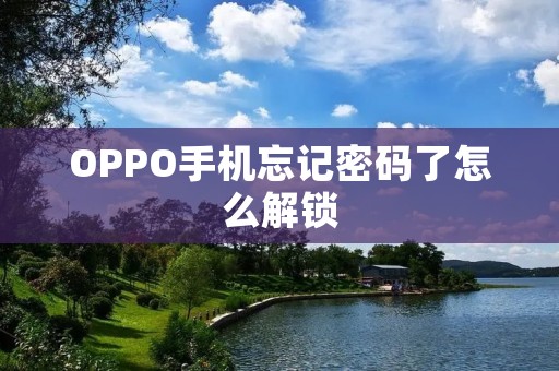 OPPO手机忘记密码了怎么解锁 OPPO手机忘记密码了怎么解锁