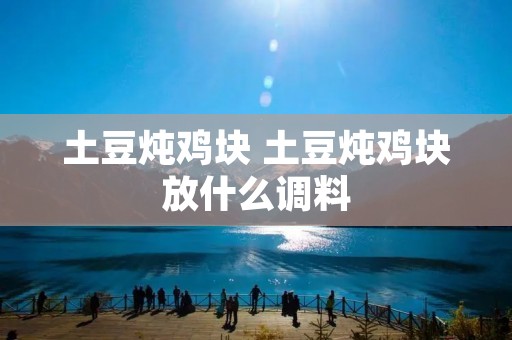 土豆炖鸡块 土豆炖鸡块放什么调料