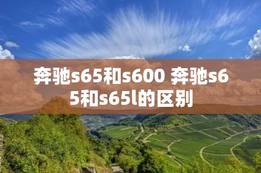 奔驰s65和s600 奔驰s65和s65l的区别 奔驰s65和s600 奔驰s65和s65l的区别