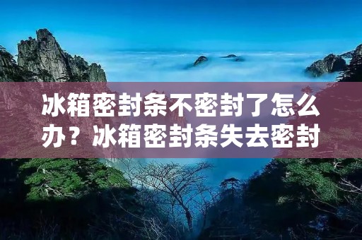 冰箱密封条不密封了怎么办?冰箱密封条失去密封功能会导致冷气流失,从而影响食物的新鲜度和冷藏效果。为了解决这个问题,我们可以采取以下几种方法。 冰箱密封条不密封了怎么办?冰箱密封条失去密封功能会导致冷气流失,从而影响食物的新鲜度和冷藏效果。为了解决这个问题,我们可以采取以下几种方法。
