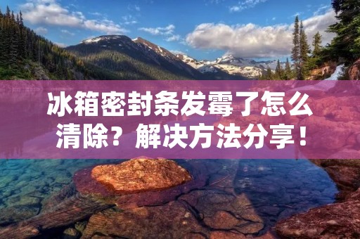 冰箱密封条发霉了怎么清除？解决方法分享！