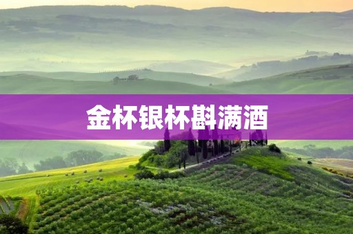 金杯银杯斟满酒：品味酒文化的多样魅力