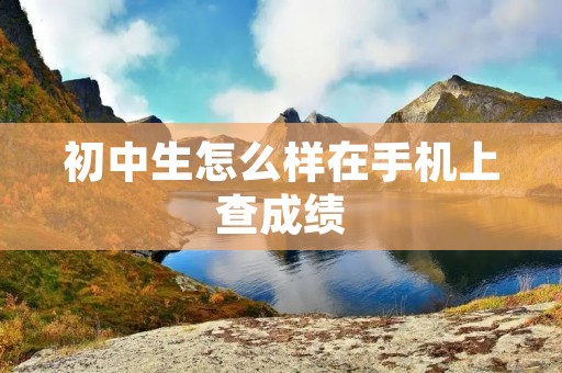 初中生怎么样在手机上查成绩