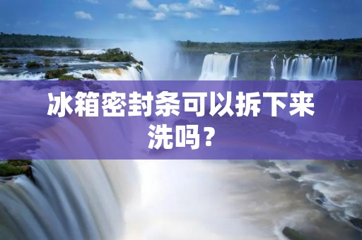 冰箱密封条可以拆下来洗吗? 冰箱密封条可以拆下来洗吗?