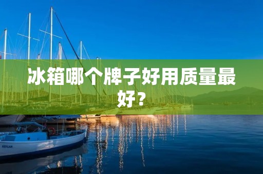 冰箱哪个牌子好用质量最好？