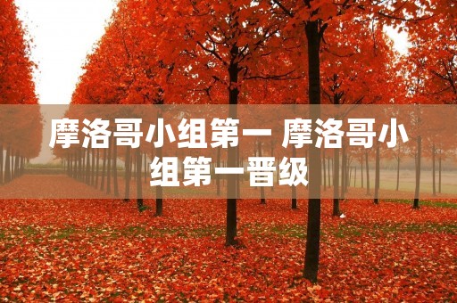 摩洛哥小组第一 摩洛哥小组第一晋级