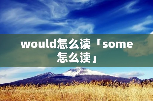 would怎么读「some怎么读」