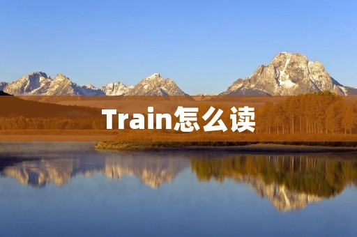 Train怎么读