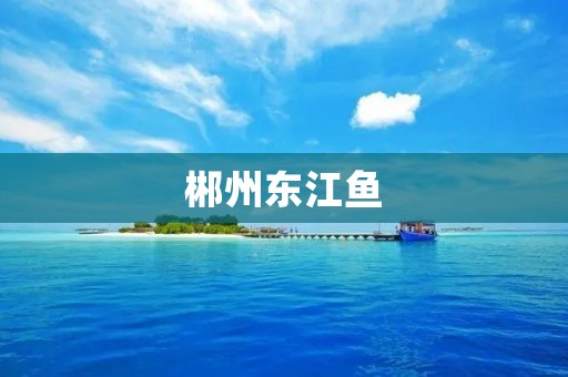 郴州东江鱼：美味佳肴与文化传承