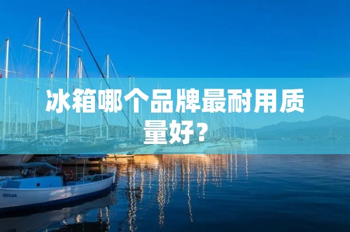 冰箱哪个品牌最耐用质量好？