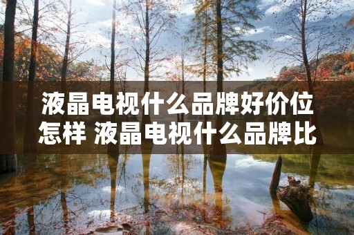 液晶电视什么品牌好价位怎样 液晶电视什么品牌比较好