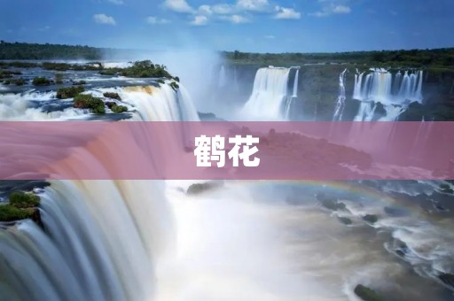 鹤花：优雅绽放的仙境之美