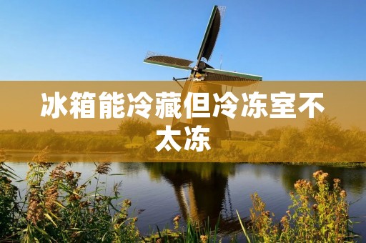 冰箱能冷藏但冷冻室不太冻:可能的原因及解决方法 冰箱能冷藏但冷冻室不太冻:可能的原因及解决方法