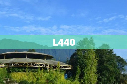 L440：一款高性能的商务笔记本电脑