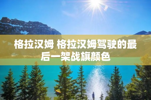 格拉汉姆 格拉汉姆驾驶的最后一架战旗颜色