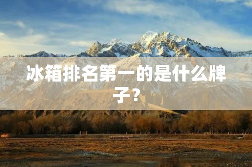 冰箱排名第一的是什么牌子？