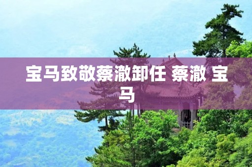 宝马致敬蔡澈卸任 蔡澈 宝马