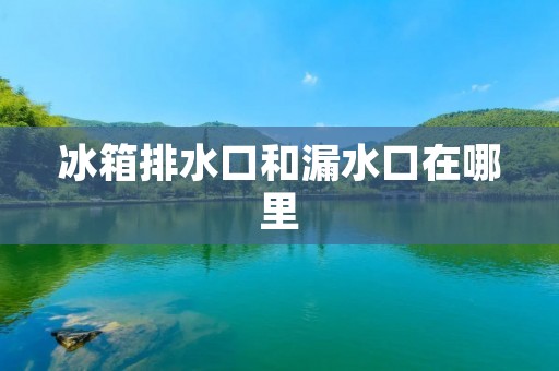 冰箱排水口和漏水口在哪里