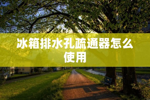 冰箱排水孔疏通器怎么使用