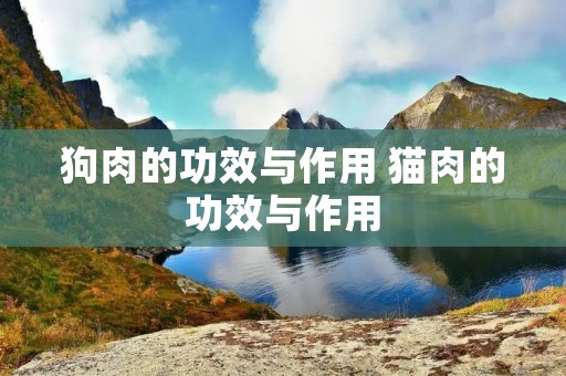 狗肉的功效与作用 猫肉的功效与作用