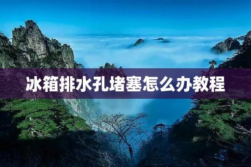 冰箱排水孔堵塞怎么办教程