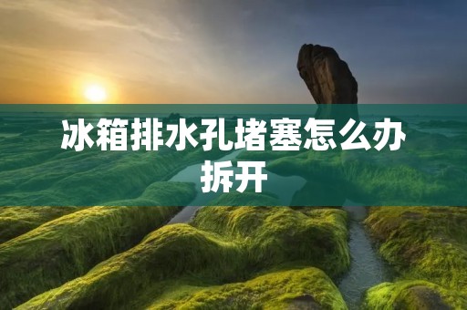 冰箱排水孔堵塞怎么办拆开：解决方法详解