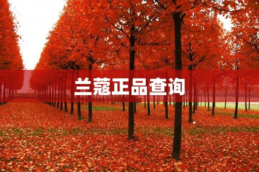 兰蔻正品查询：如何辨别兰蔻产品的真伪？
