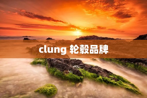 clung 轮毂品牌
