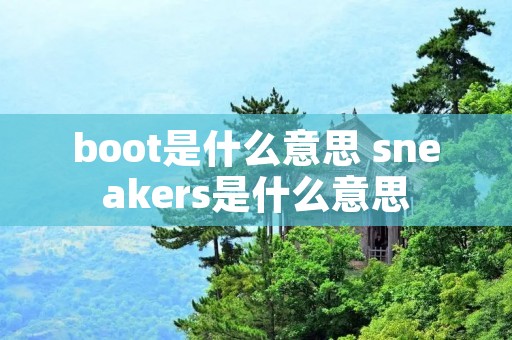boot是什么意思 sneakers是什么意思