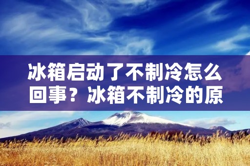 冰箱启动了不制冷怎么回事?冰箱不制冷的原因及解决方法 冰箱启动了不制冷怎么回事?冰箱不制冷的原因及解决方法