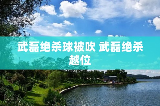 武磊绝杀球被吹 武磊绝杀越位