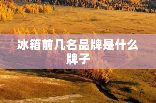 冰箱前几名品牌是什么牌子