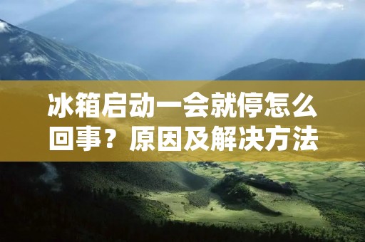 冰箱启动一会就停怎么回事?原因及解决方法详解 冰箱启动一会就停怎么回事?原因及解决方法详解