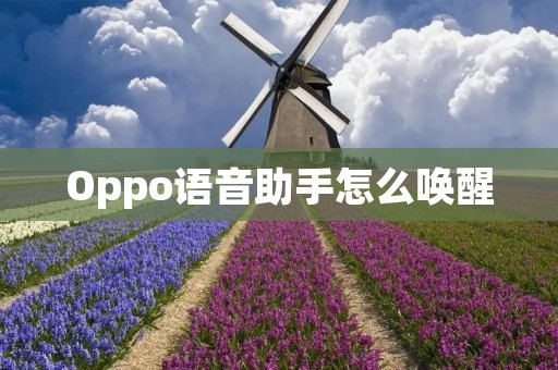 Oppo语音助手怎么唤醒