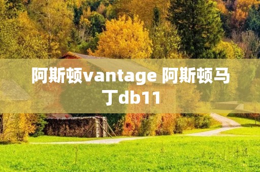 阿斯顿vantage 阿斯顿马丁db11 阿斯顿vantage 阿斯顿马丁db11