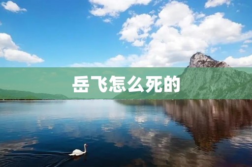岳飞怎么死的