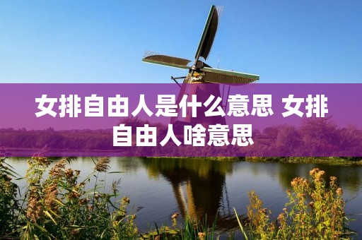 女排自由人是什么意思 女排自由人啥意思 女排自由人是什么意思 女排自由人啥意思