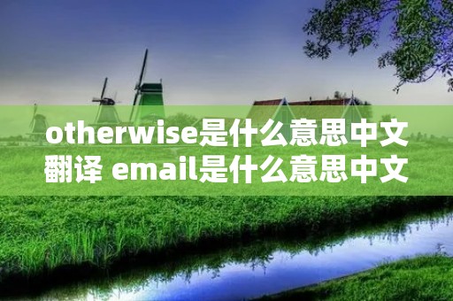 otherwise是什么意思中文翻译 email是什么意思中文翻译