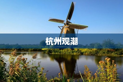 杭州观潮:一场令人陶醉的水上盛宴