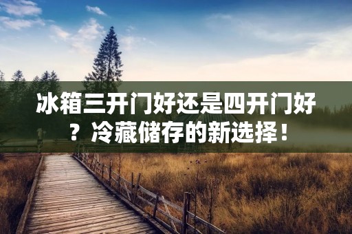 冰箱三开门好还是四开门好？冷藏储存的新选择！