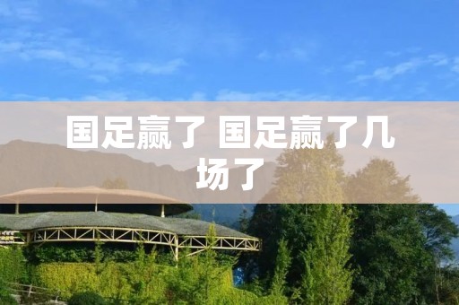 国足赢了 国足赢了几场了 国足赢了 国足赢了几场了