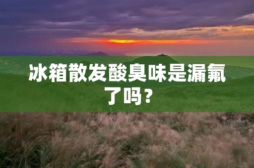 冰箱散发酸臭味是漏氟了吗？