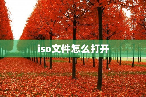 iso文件怎么打开 iso文件怎么打开