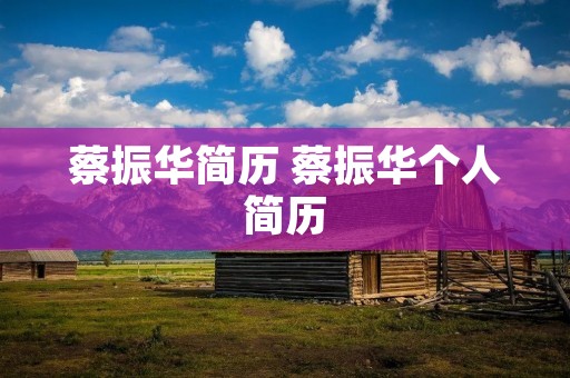 蔡振华简历 蔡振华个人简历