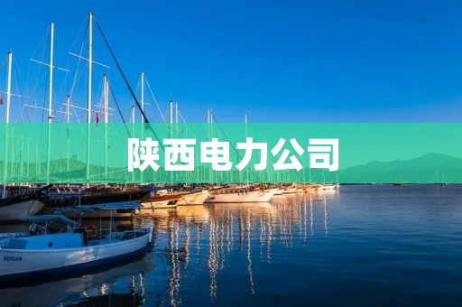 陕西电力公司:助力陕西能源发展的重要力量 陕西电力公司:助力陕西能源发展的重要力量