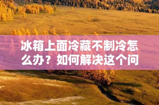 冰箱上面冷藏不制冷怎么办？如何解决这个问题？