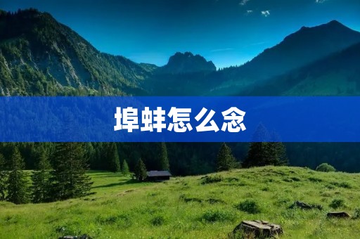 埠蚌怎么念